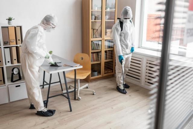 mold remediation wichita ks