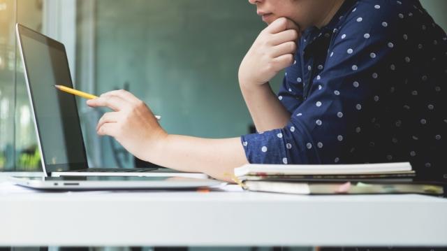 WGU Online Exam