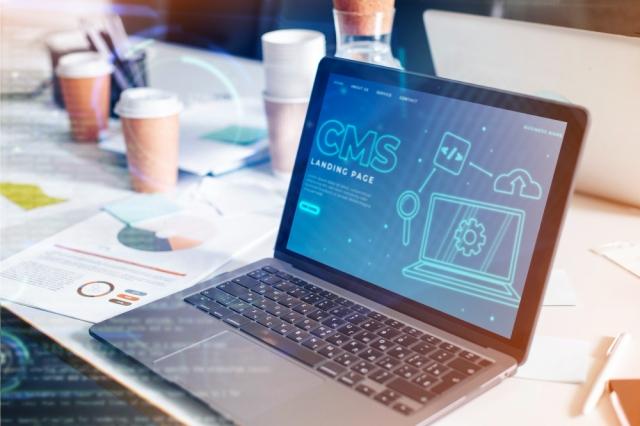 website support services