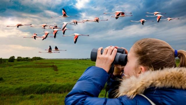 Unveiling the Wonders of a Serengeti Tour: A Journey Through Africa’s Wild Heart