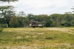 Embark on a Luxury Safari Tour: Exploring the Leopard Hills of India and Masai Mara National Reserve